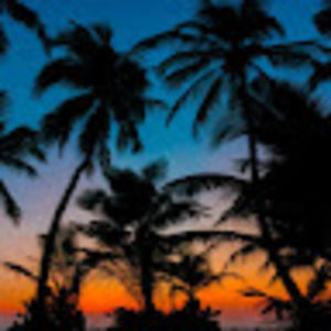 Meet your Posher, Pixel this!